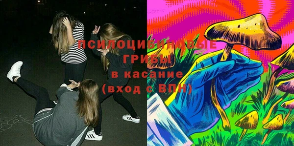 Альфа ПВП Беломорск