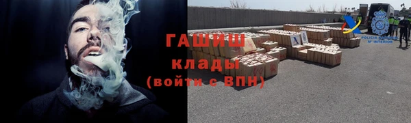 шишки Белоозёрский