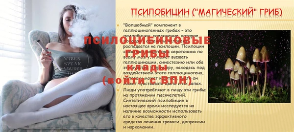 шишки Белоозёрский