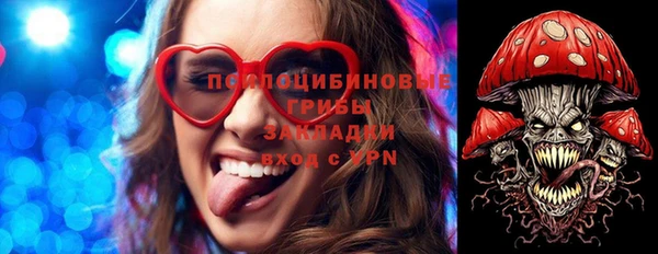 Альфа ПВП Беломорск